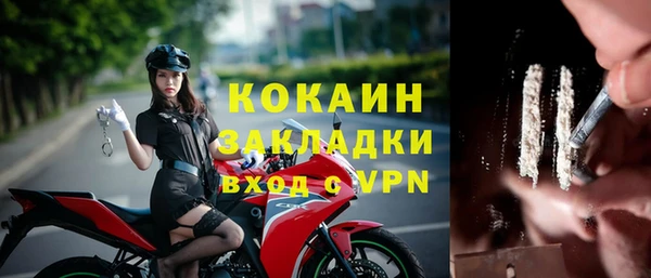прущие грибы Иноземцево