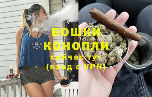 прущие грибы Иноземцево
