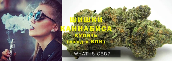 прущие грибы Иноземцево