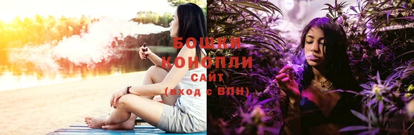 прущие грибы Иноземцево