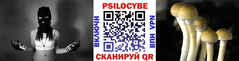 Галлюциногенные грибы Psilocybine cubensis  сколько стоит  Карачев 